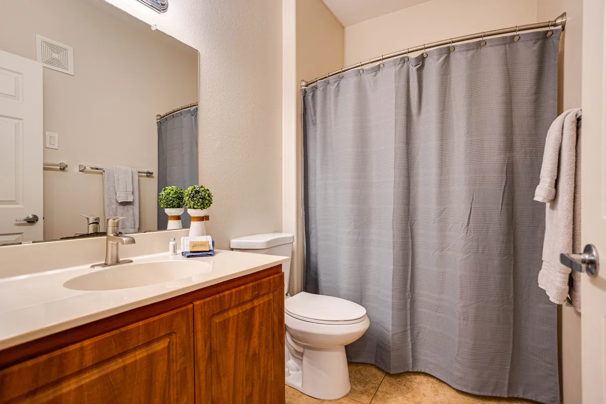 A well-organized bathroom with a clean sink, mirror, shower curtain, toilet, and small potted plants. The atmosphere is peaceful and organized, ideal for both quick routines and moments of self-care.